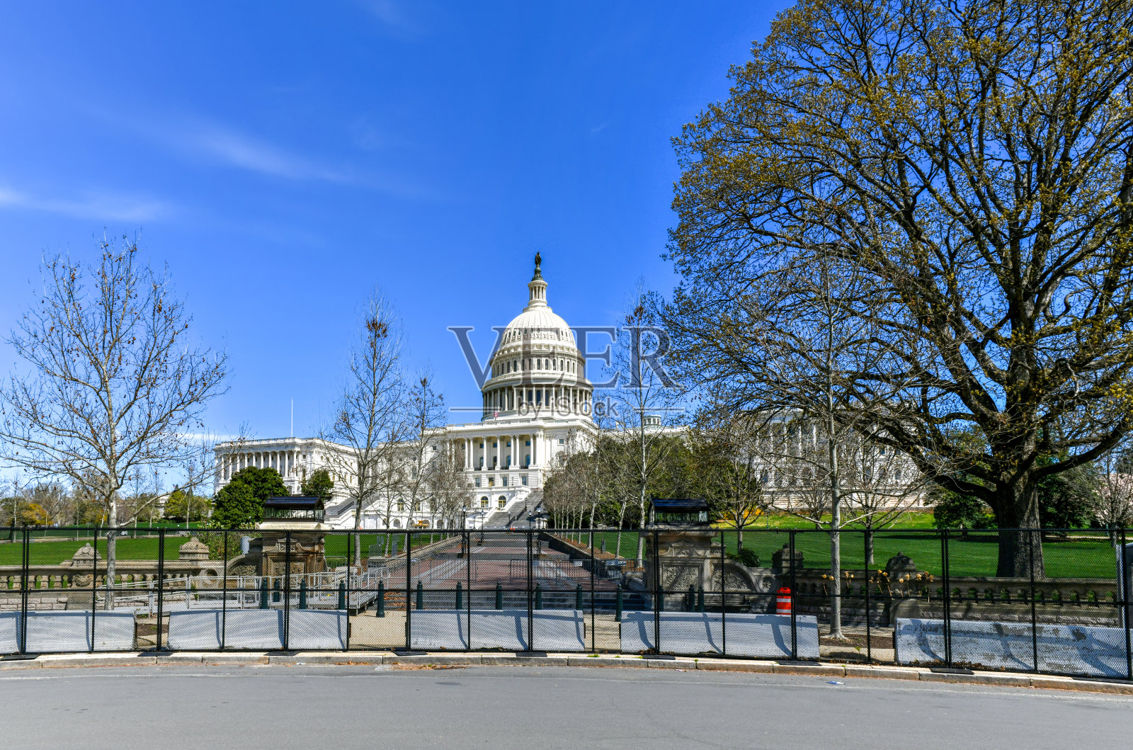 美国国会大厦-华盛顿特区照片摄影图片