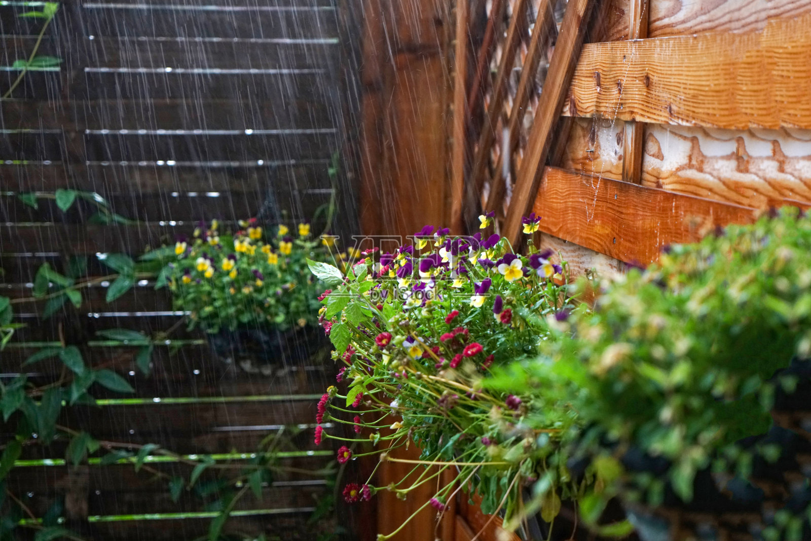 德国春天的雨和飞溅的水滴照片摄影图片