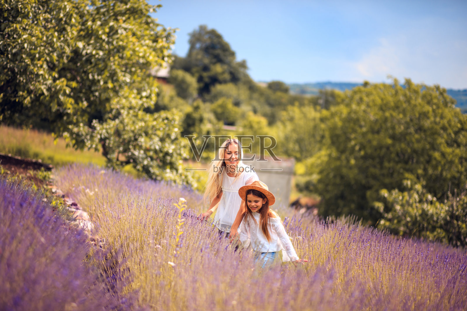 母亲和女儿在薰衣草地里。照片摄影图片