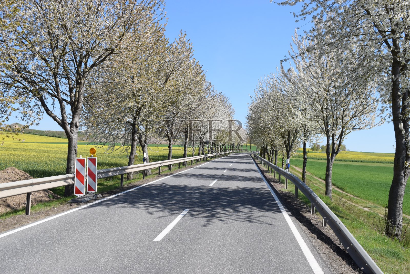 在樱桃树大道上修路照片摄影图片