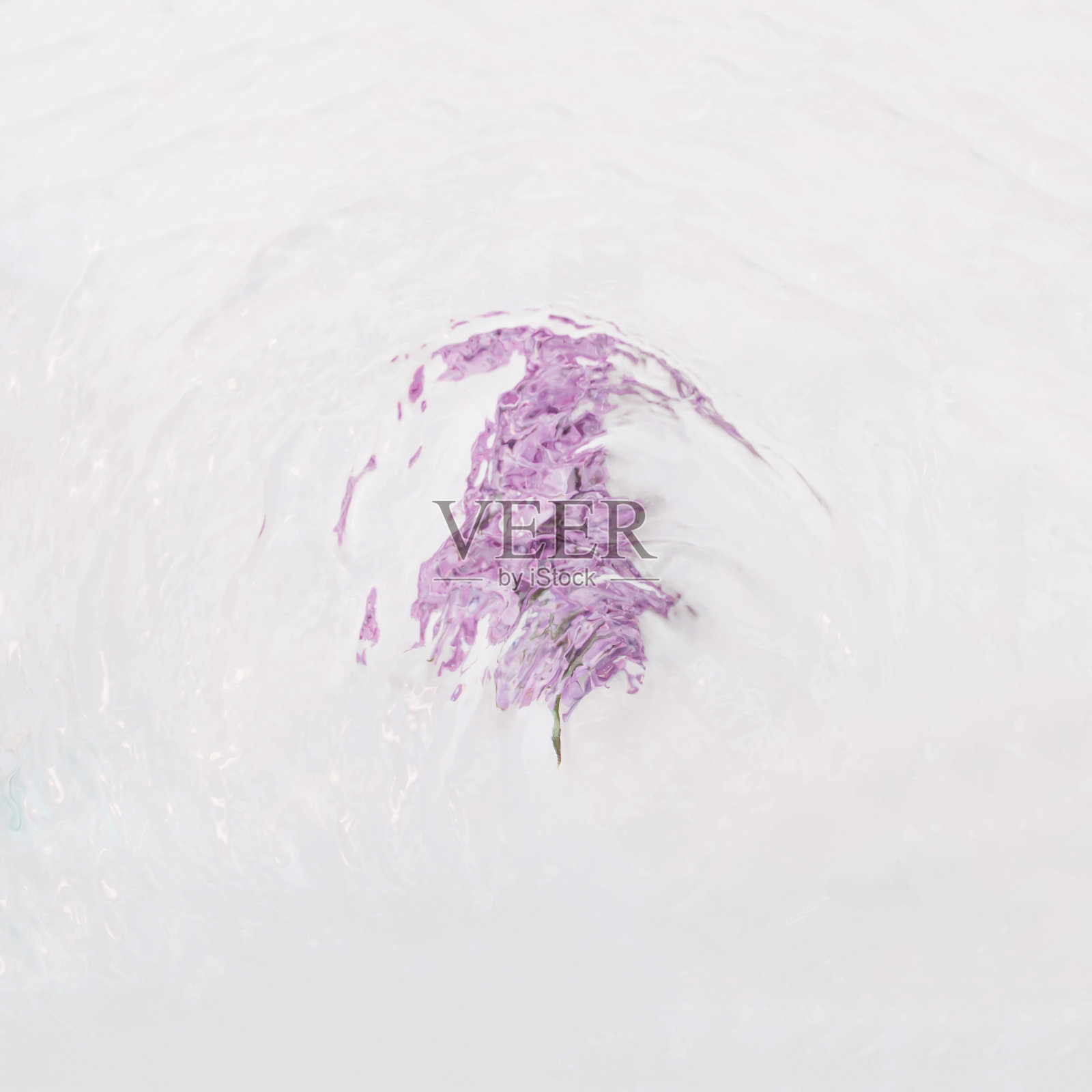 紫色的花在波浪的水。最小的。照片摄影图片