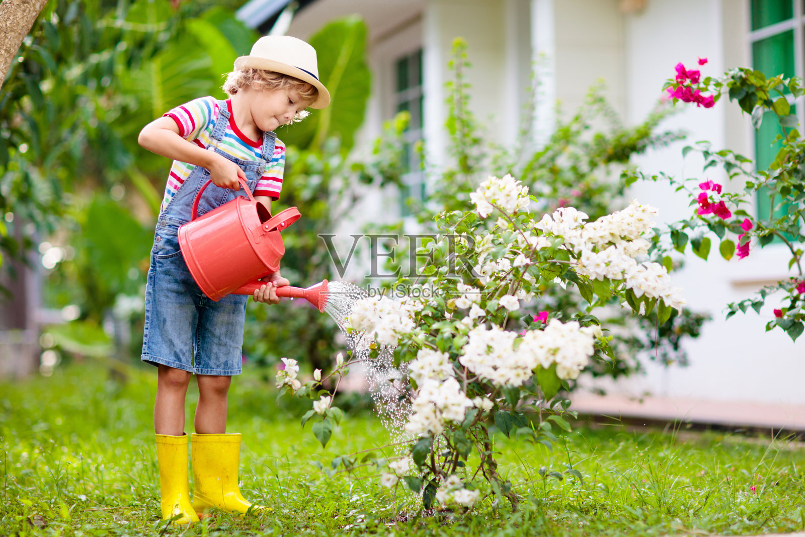 孩子园艺。男孩在花园里用喷壶。照片摄影图片