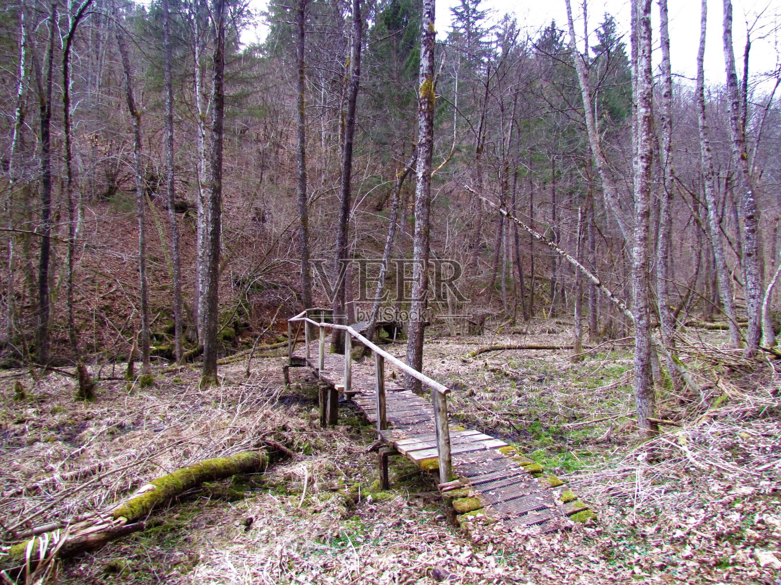 穿过一条游泳木栈道照片摄影图片