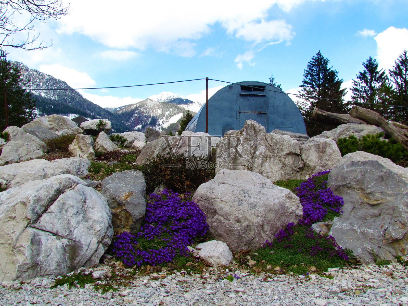 金属山掩蔽着巨大的岩石和一大片紫色的花和白雪覆盖的山峰后面照片摄影图片