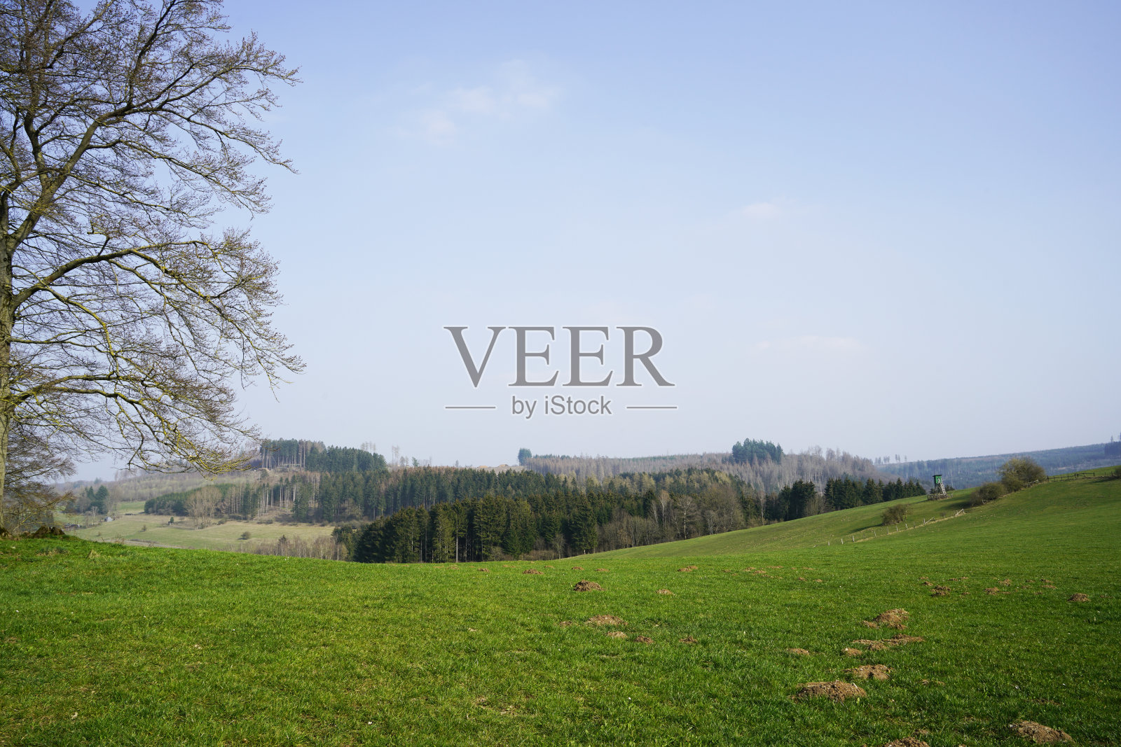 自然的山丘,森林和田野。树木繁茂的地区。照片摄影图片