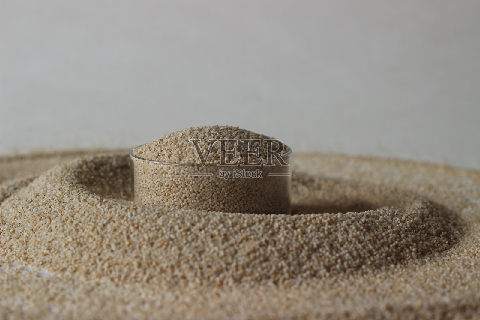 棘草属禾本科草本植物。它通常被称为谷子或日本谷子照片摄影图片