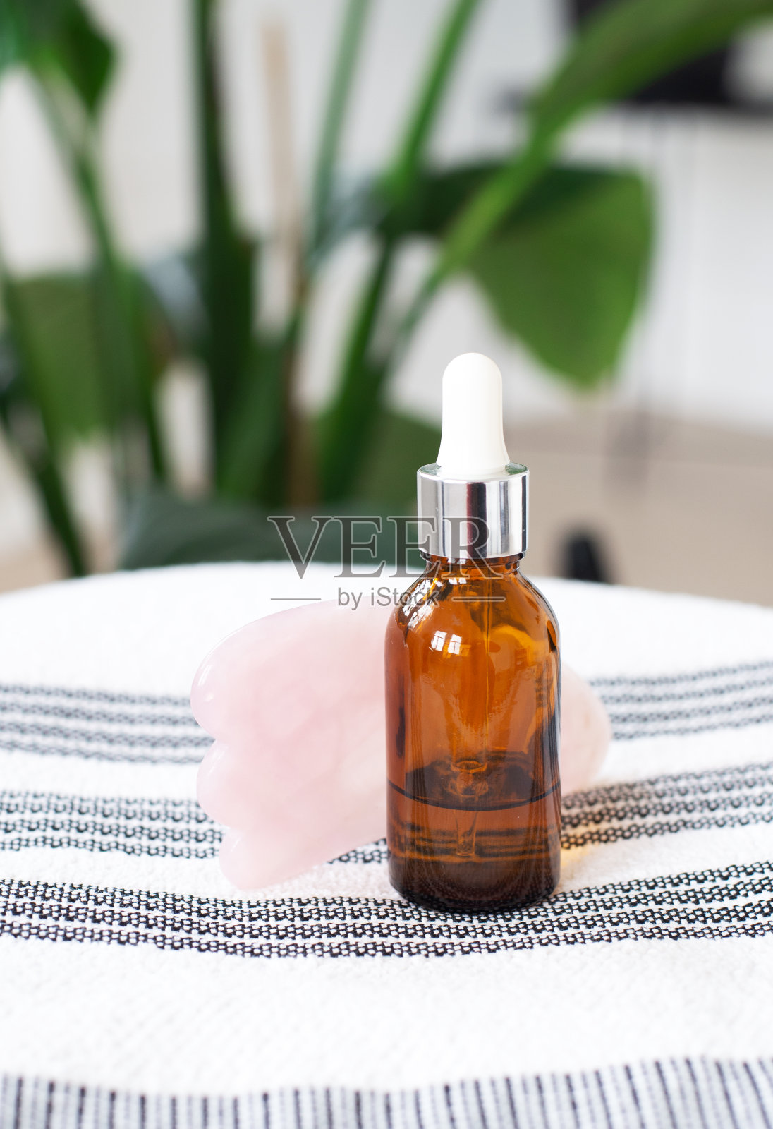 棕色玻璃滴管与移液管在绿色的自然树叶的背景下,在浴室用刮痧石。皮肤的概念。有机水疗化妆品。照片摄影图片