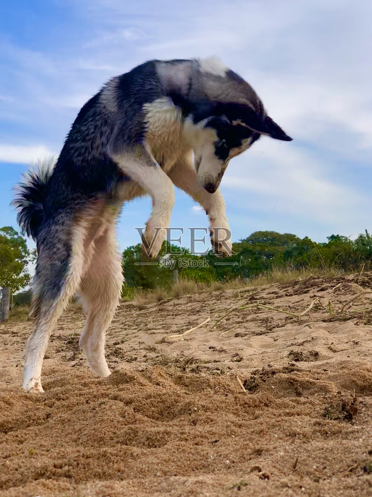 沙哑的池塘照片摄影图片