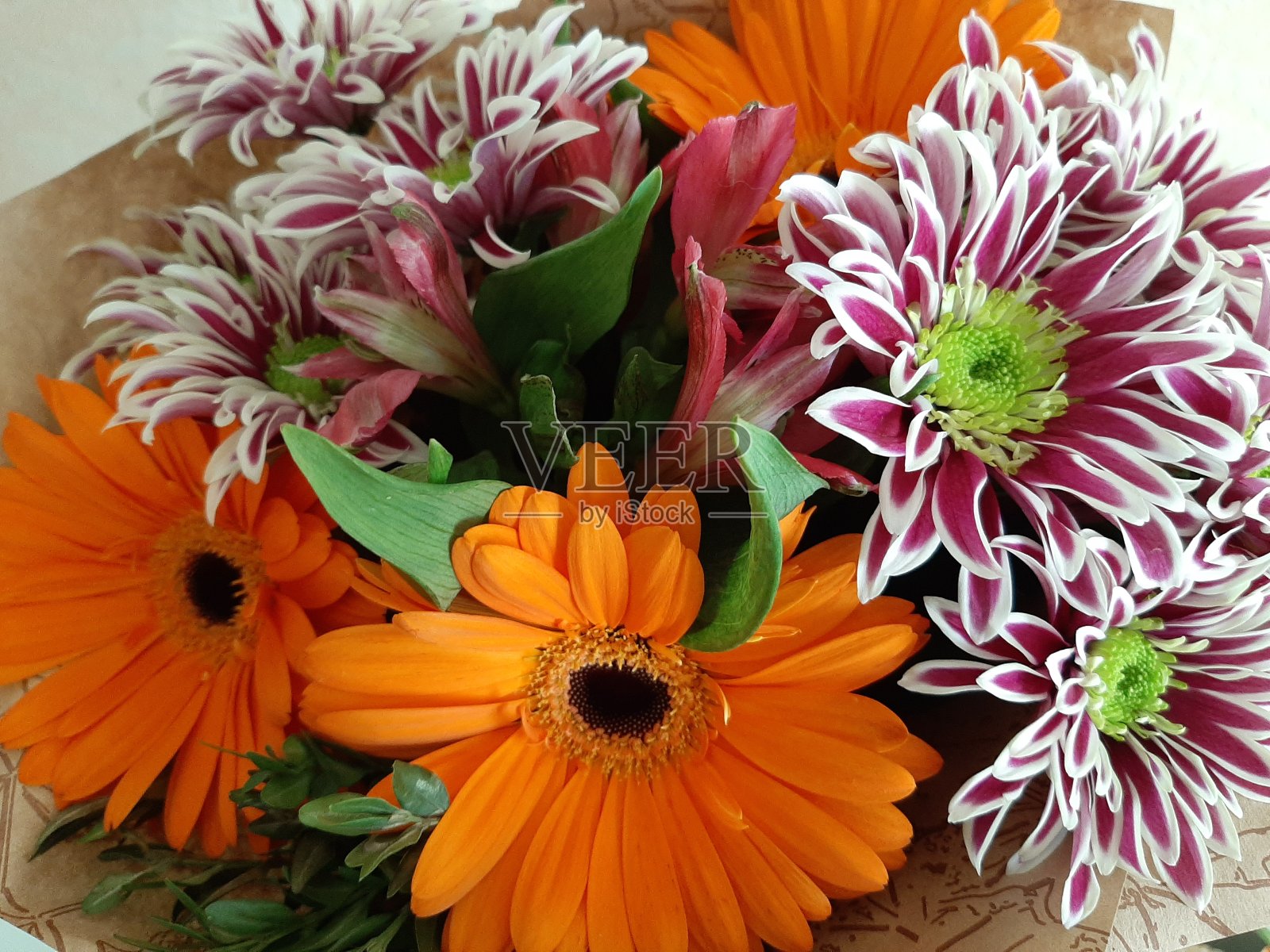 背景美丽的粉红色花朵照片摄影图片