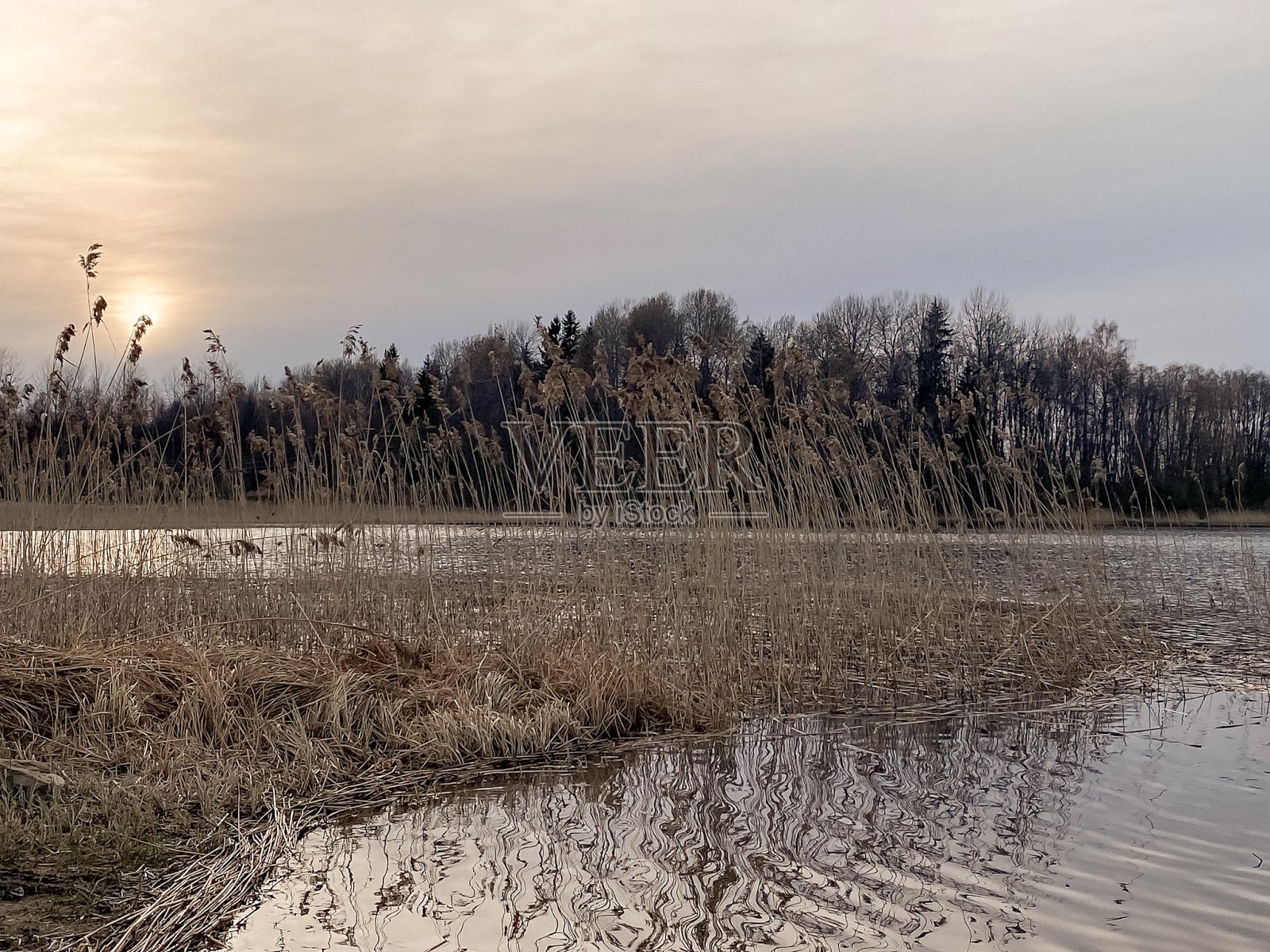 塞利格尔湖春天的夜晚照片摄影图片