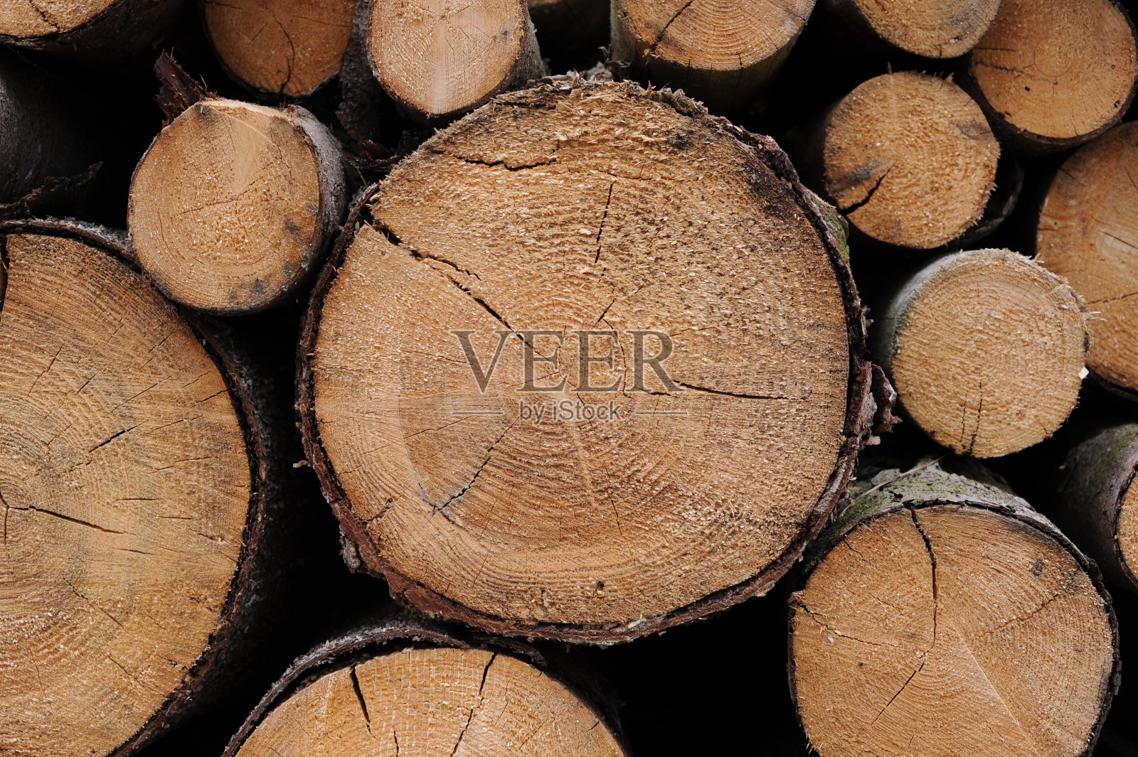 将老树的圆木在木材中切割和锯成一堆,然后堆放在一起运往欧洲照片摄影图片
