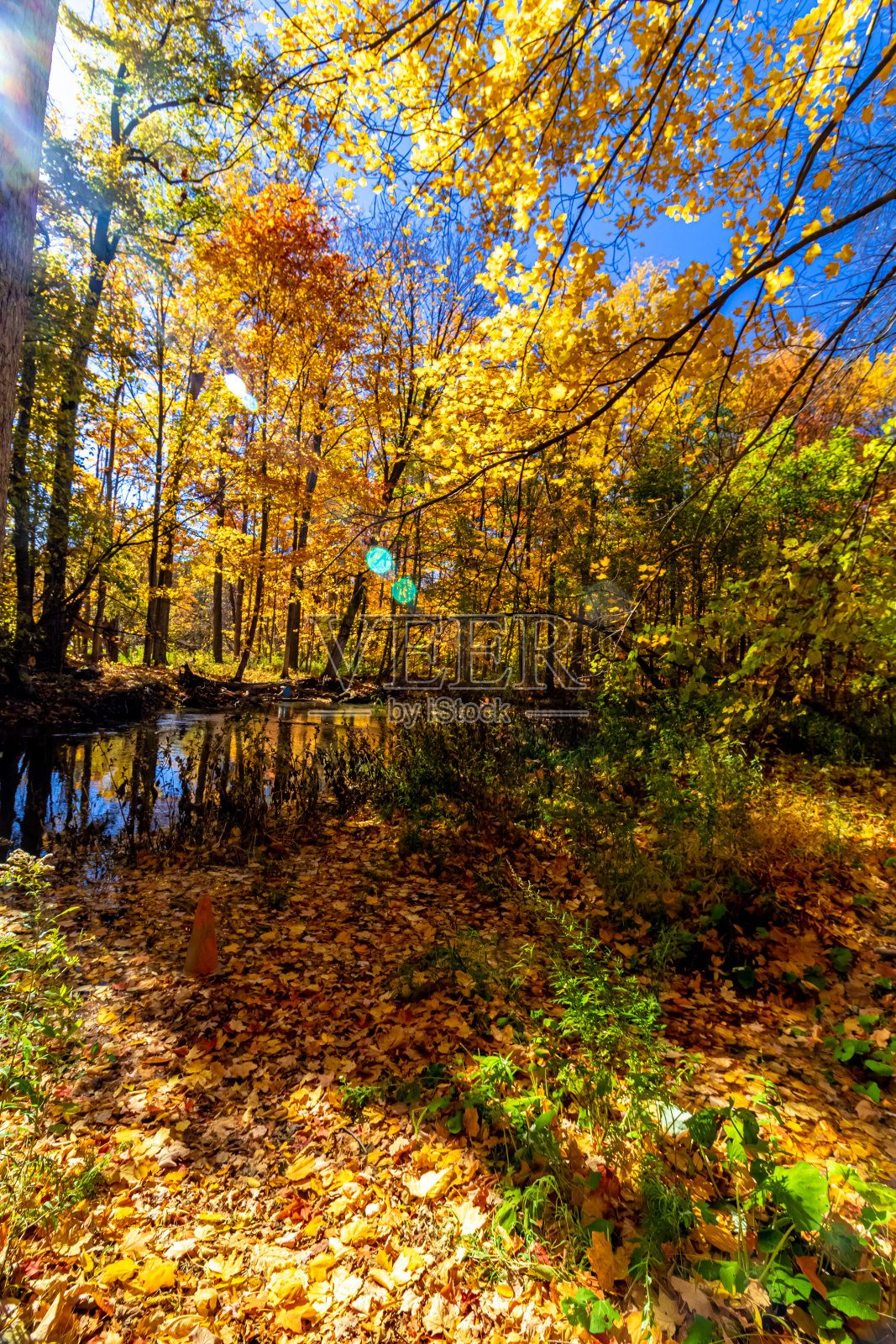 在加拿大中部,秋天的太阳试图打败阴影照片摄影图片