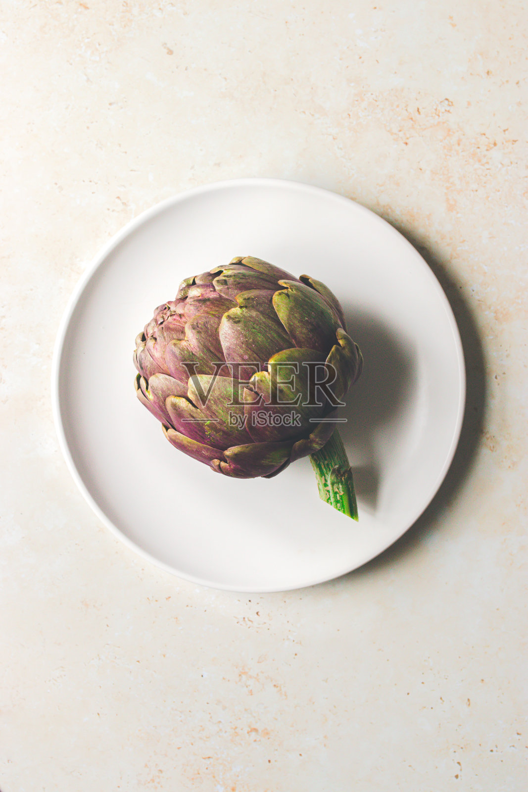 朝鲜蓟的肖像照片摄影图片