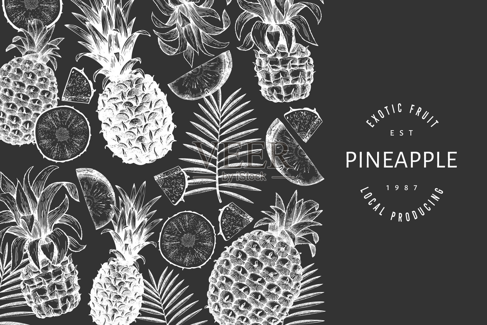 手绘素描风格的菠萝横幅有机插画图片素材