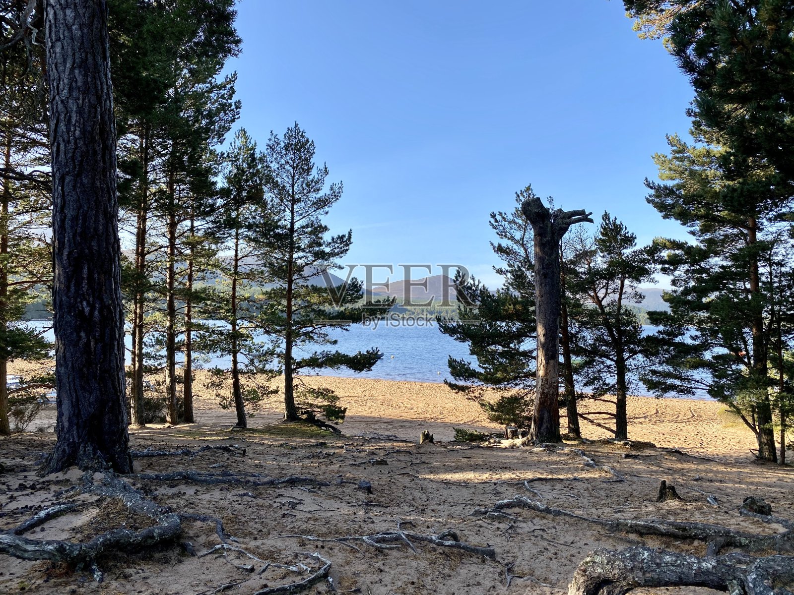 北海岸500英里公路旅行照片摄影图片