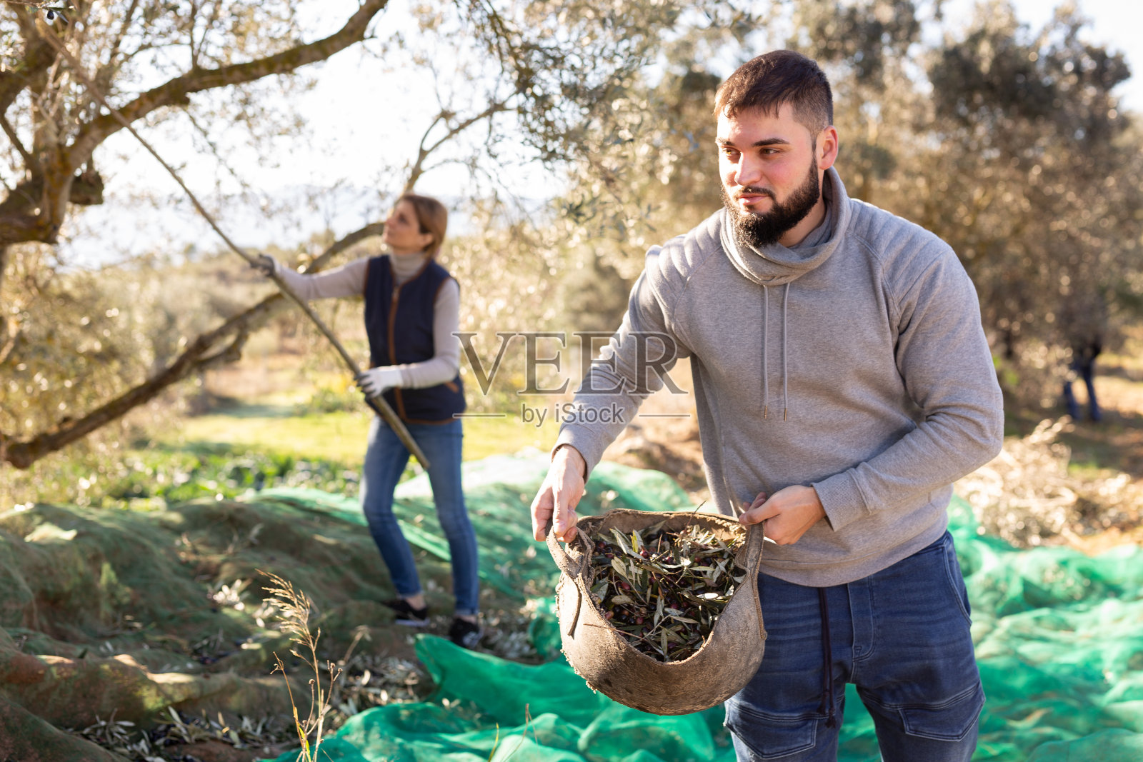 提着橄榄篮子的人照片摄影图片