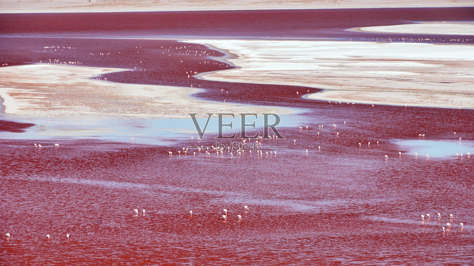 乌尤尼萨拉尔旅游在玻利维亚照片摄影图片