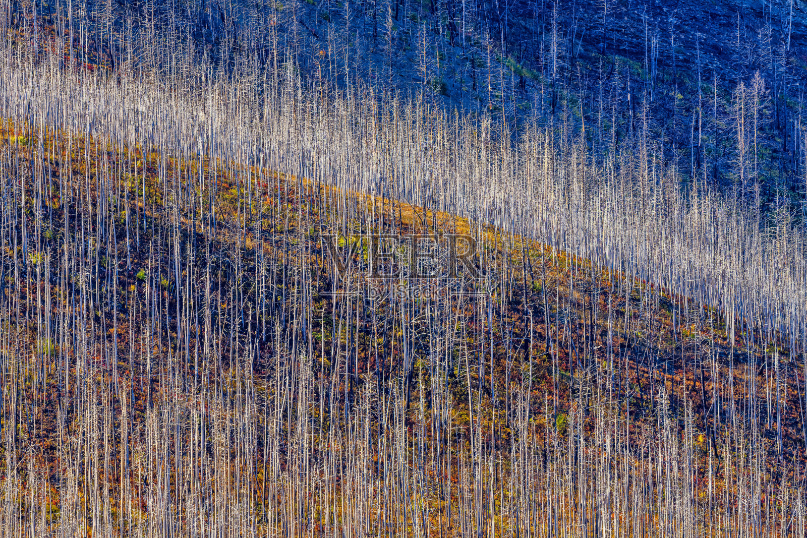 位于加拿大阿尔伯塔省的沃特顿国家公园照片摄影图片