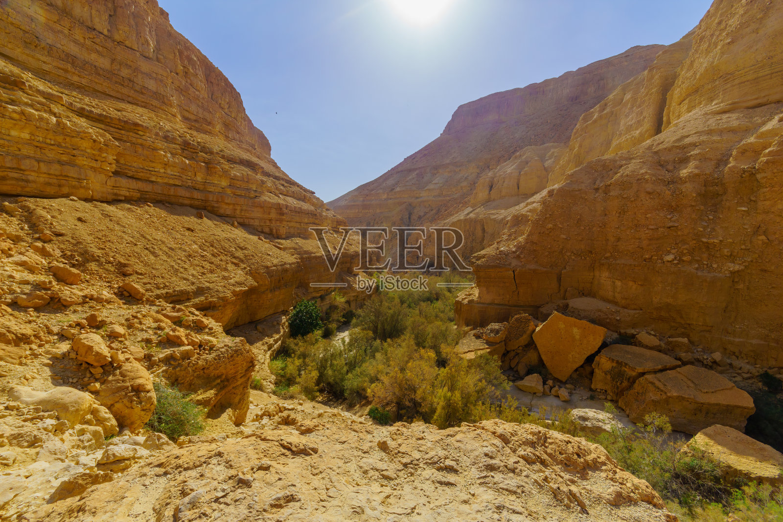 隐基底自然保护区阿鲁戈特溪流沿岸风光照片摄影图片