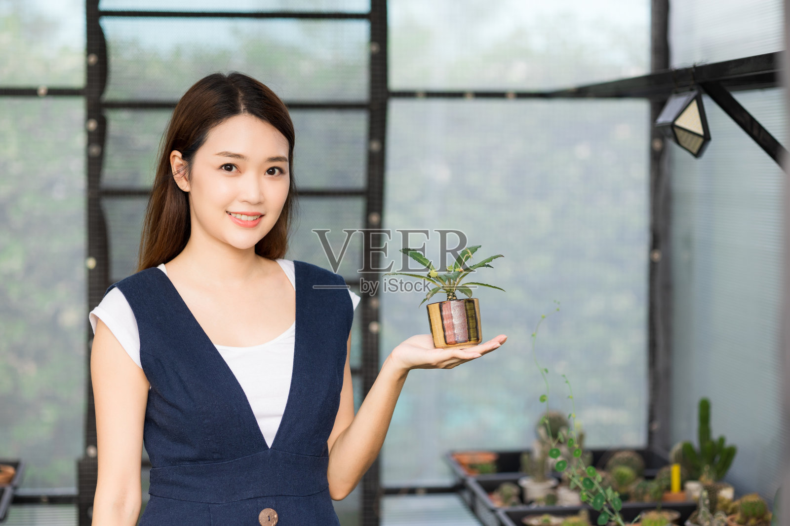 在室内植物工作的亚洲妇女园丁。业主开始小型温室企业。可爱的女性抱着花盆中的小树,微笑着在室内植物呆在家里。照片摄影图片