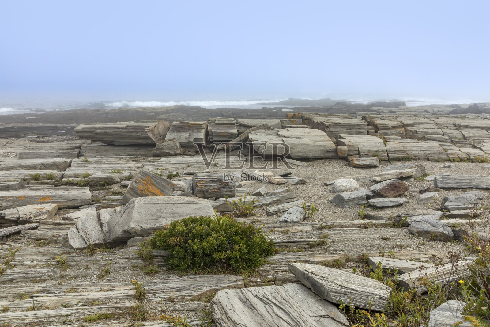 迷雾中的伊丽莎白角海岸线照片摄影图片