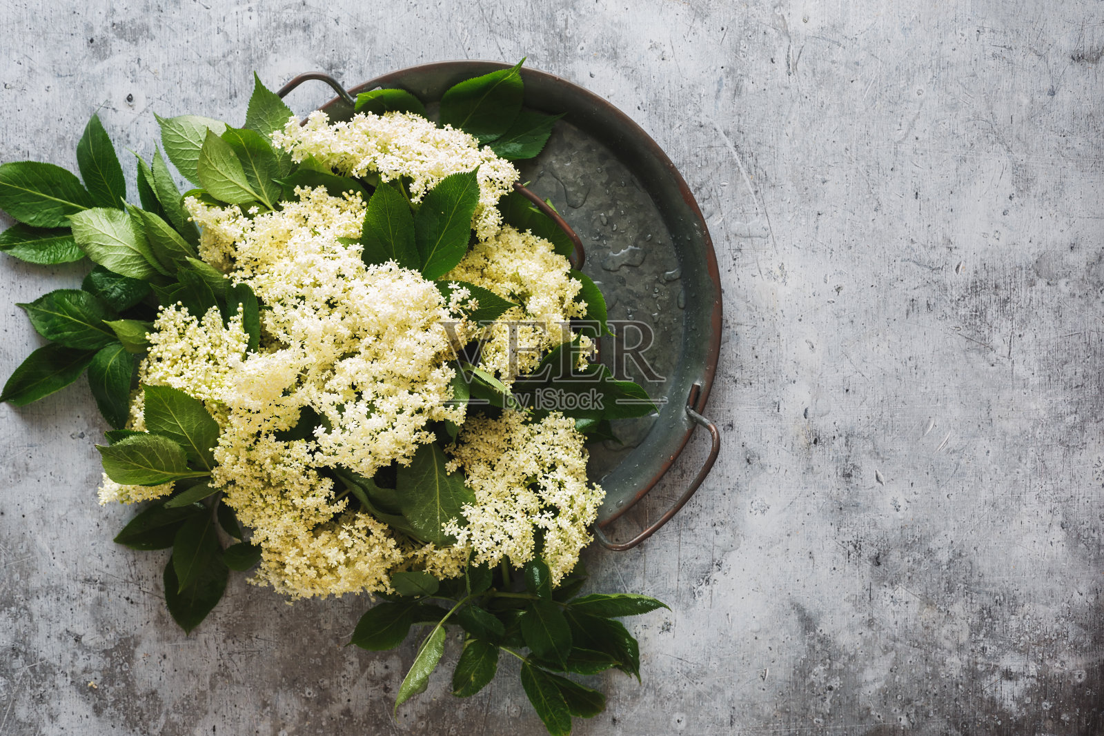 金属盘里放着新鲜的接骨木花,背景是乡村的灰色照片摄影图片