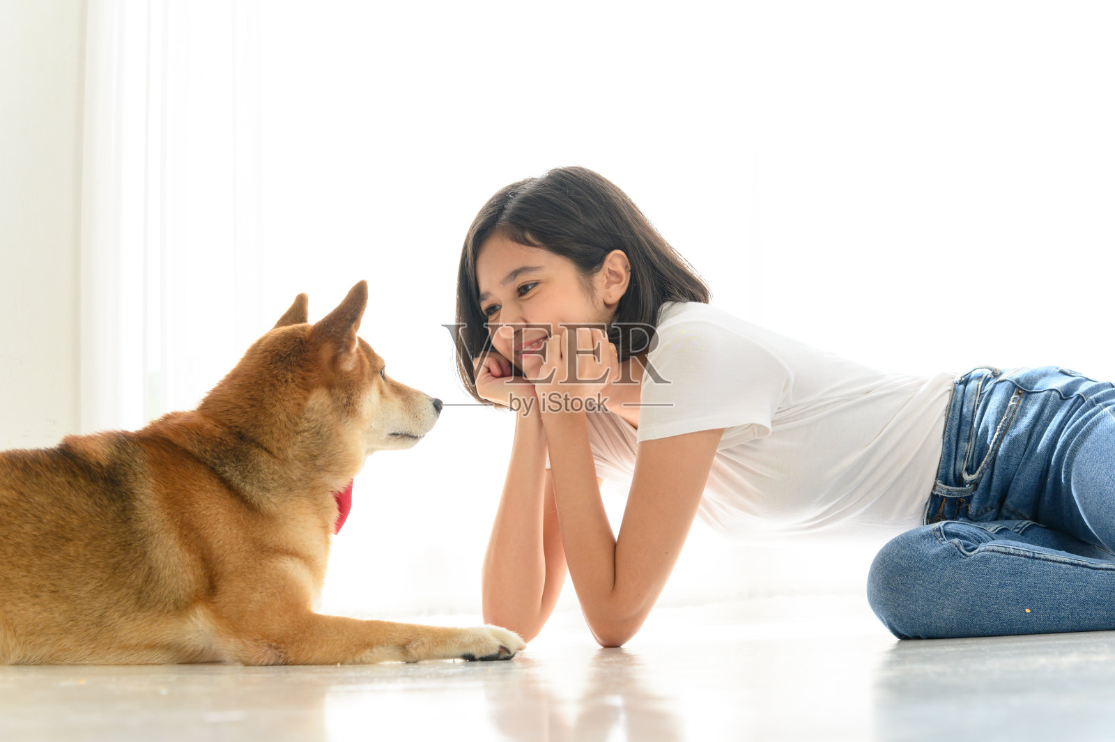 欢笑快乐的年轻亚洲女人坐在地板上和她的日本柴犬玩耍,与人和宠物的快乐和友好的夫妇,与人和宠物的快乐和友好的夫妇。宠物情人的概念照片摄影图片