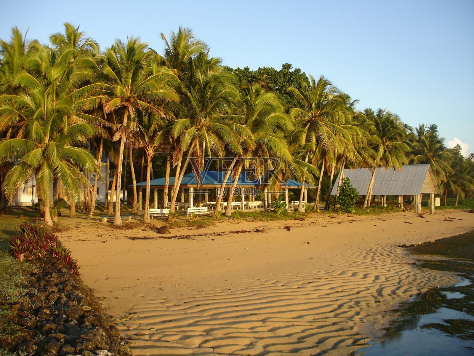 在帕劳的梅勒库克,海滩区域有细粉状的沙子和椰子树,为小屋提供阴凉。照片摄影图片