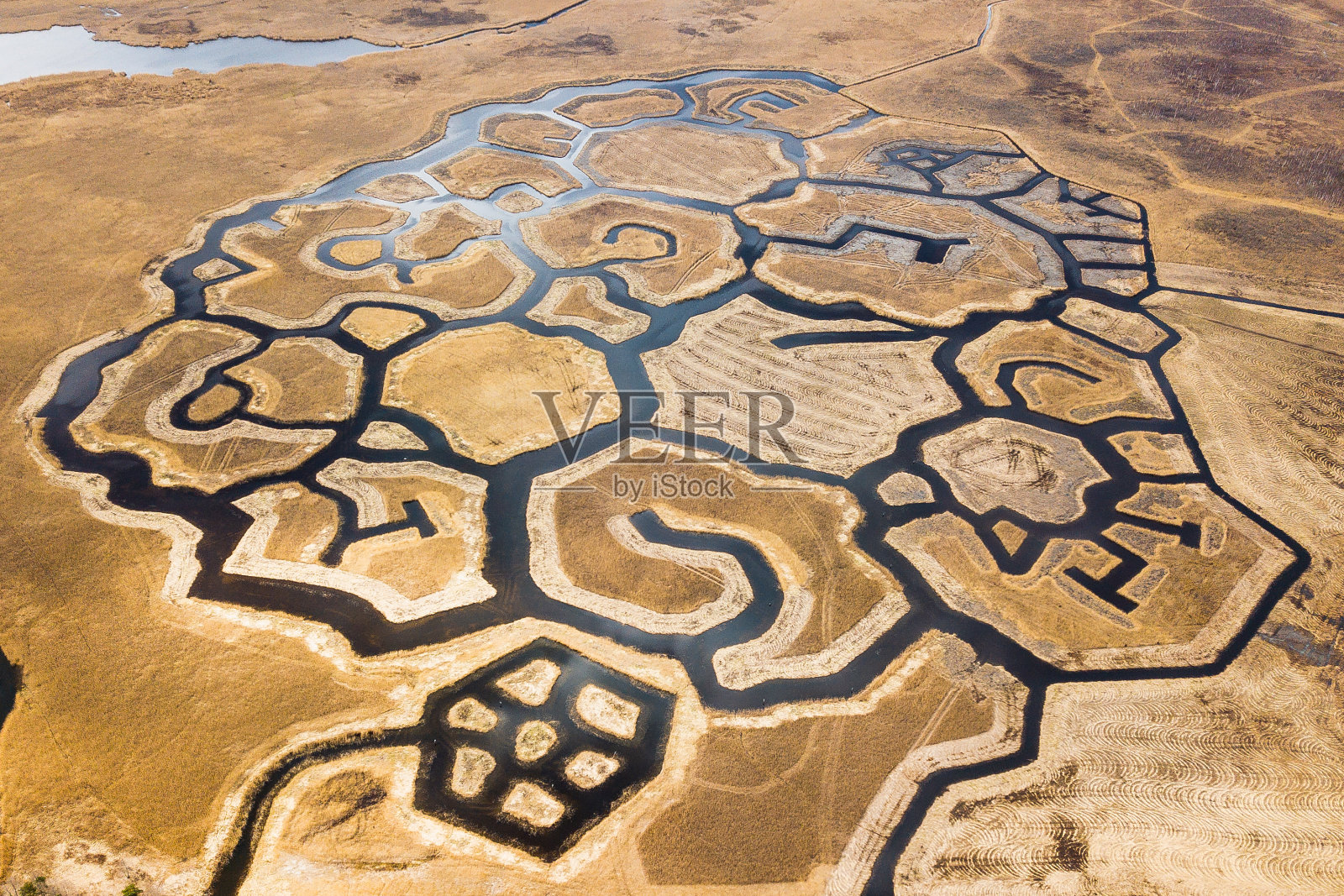 拉脱维亚恩古尔湖(鸟类筑巢区)标志的鸟瞰图照片摄影图片