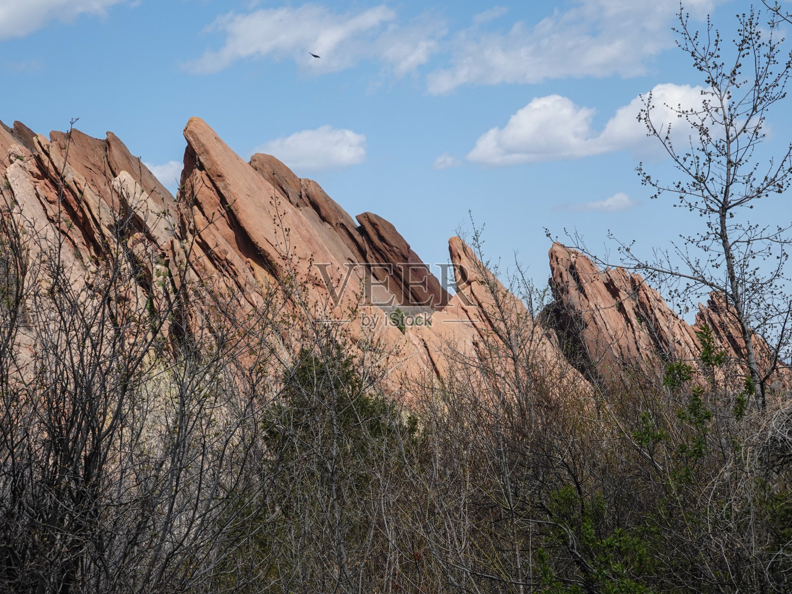 倾斜的红色岩层。罗克斯伯勒州立公园,科罗拉多州。照片摄影图片