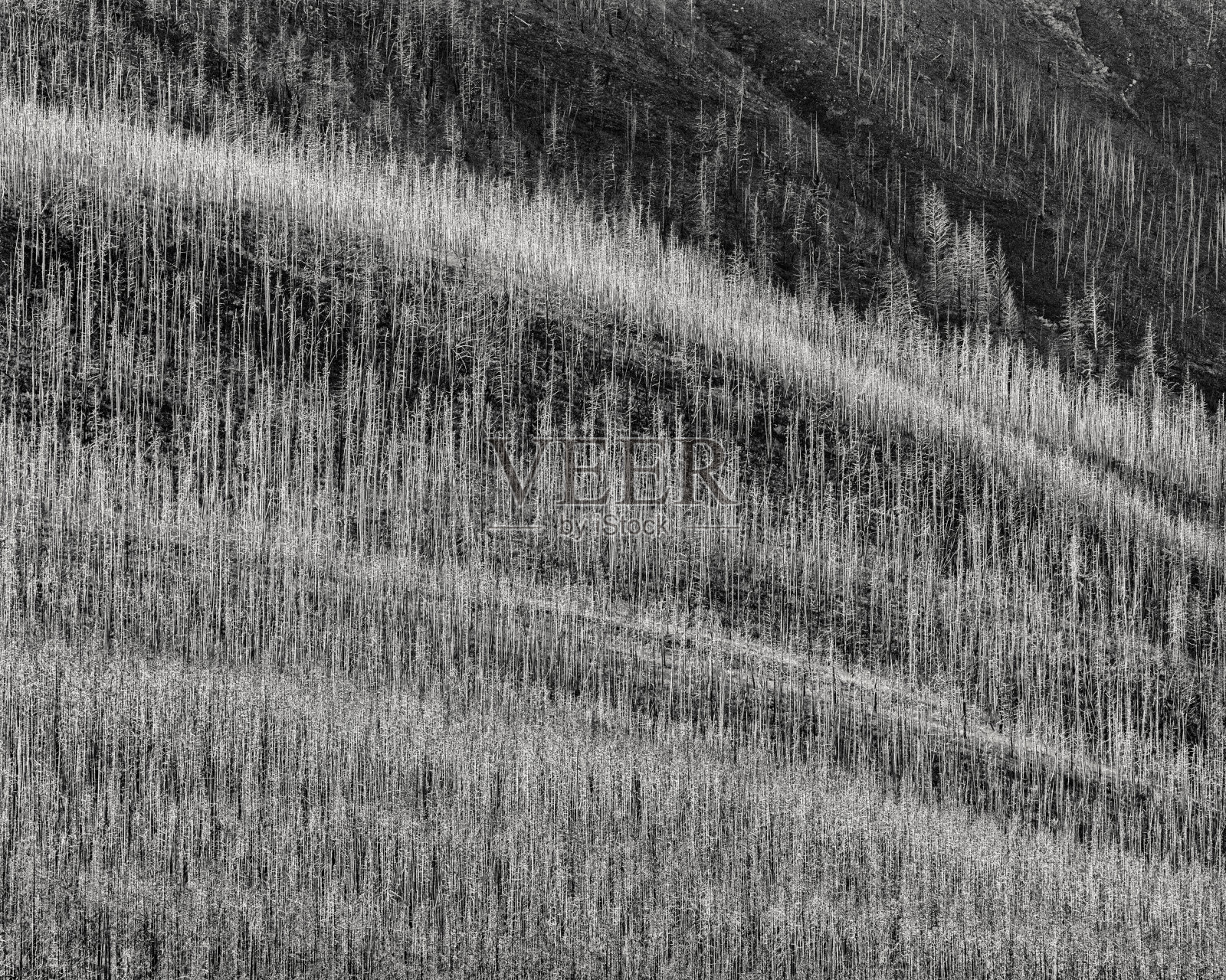 位于加拿大阿尔伯塔省的沃特顿国家公园照片摄影图片