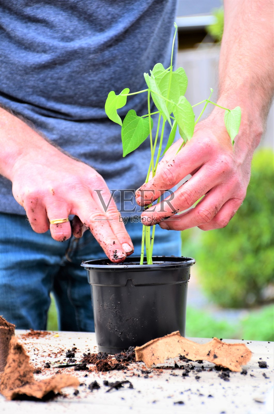 春天!室外为菜园子做准备。种植香草、蔬菜和花卉。照片摄影图片