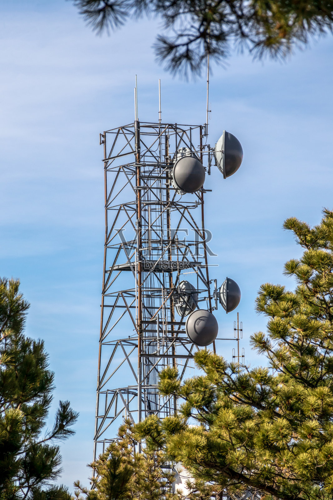 通讯塔以松树和山脊为背景。照片摄影图片