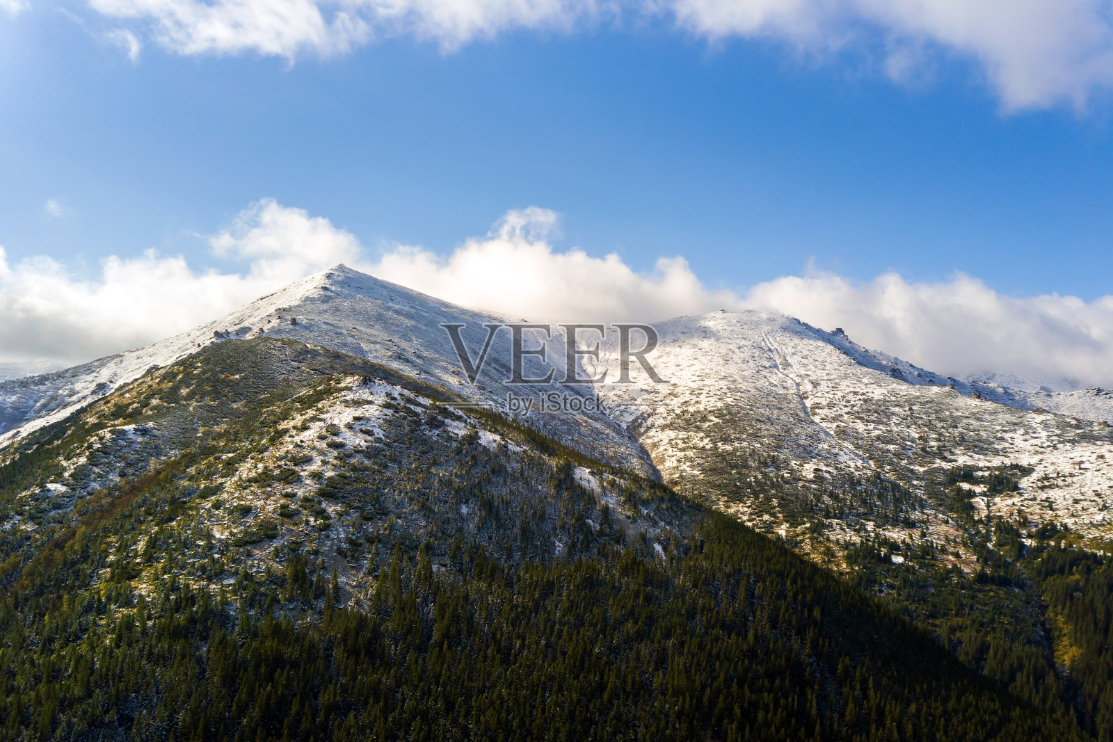 高高的山峰上覆盖着秋天的云杉林,高高的山峰上覆盖着积雪。照片摄影图片