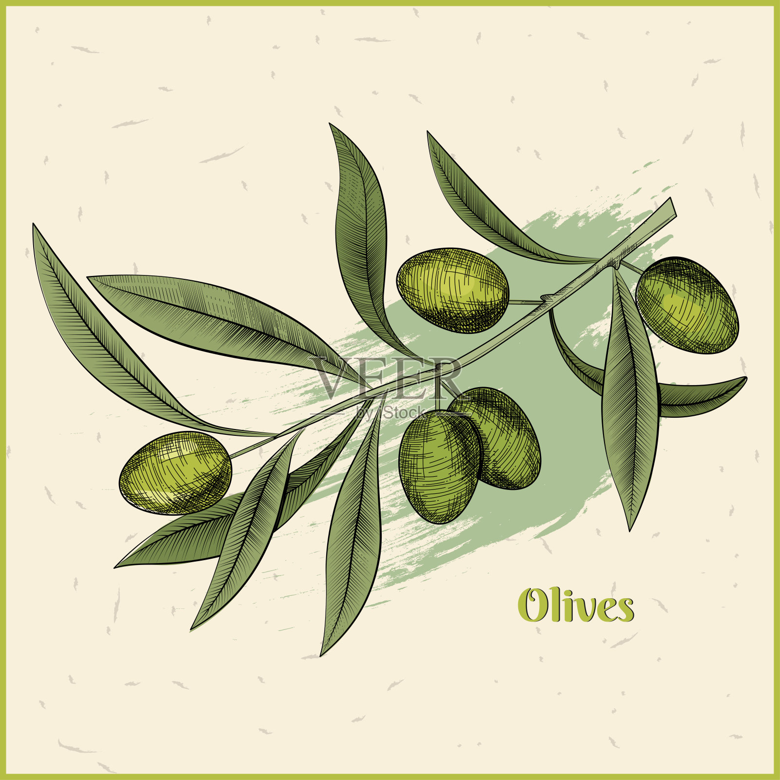 橄榄枝雕刻复古风格。手绘矢量图插画图片素材
