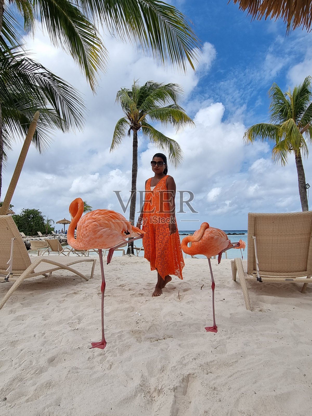 阿鲁巴海滩上有粉红色的火烈鸟,加勒比海阿鲁巴岛的火烈鸟照片摄影图片