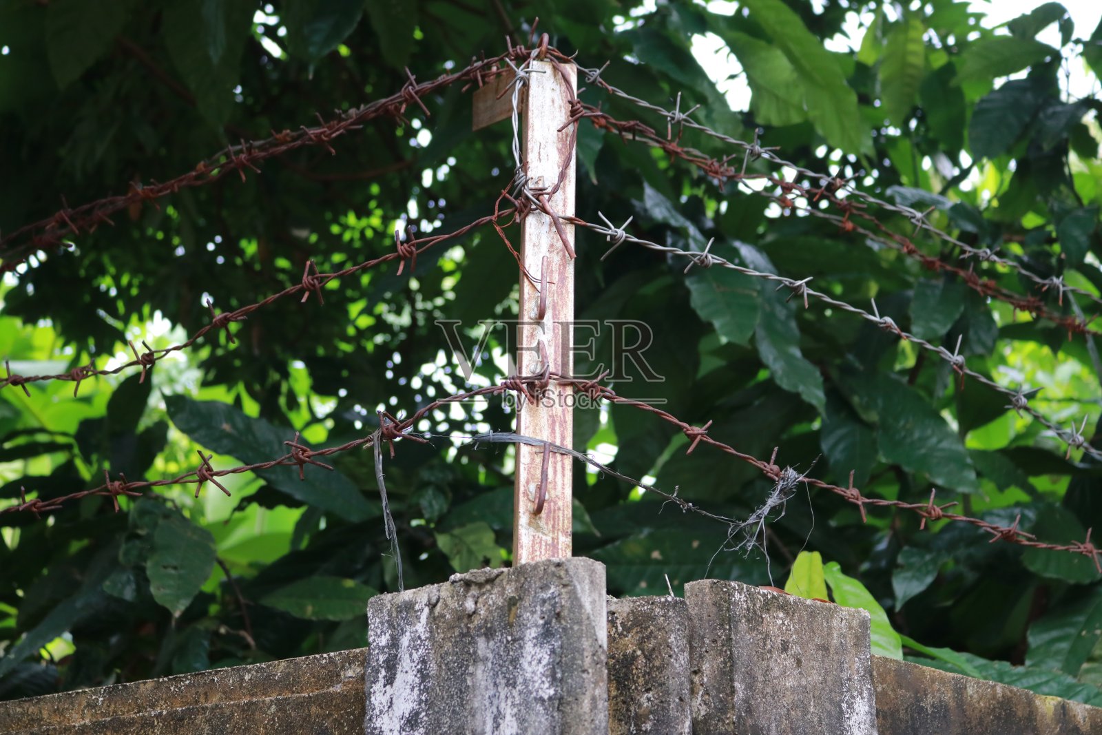 栅栏上装有带刺的铁丝网照片摄影图片