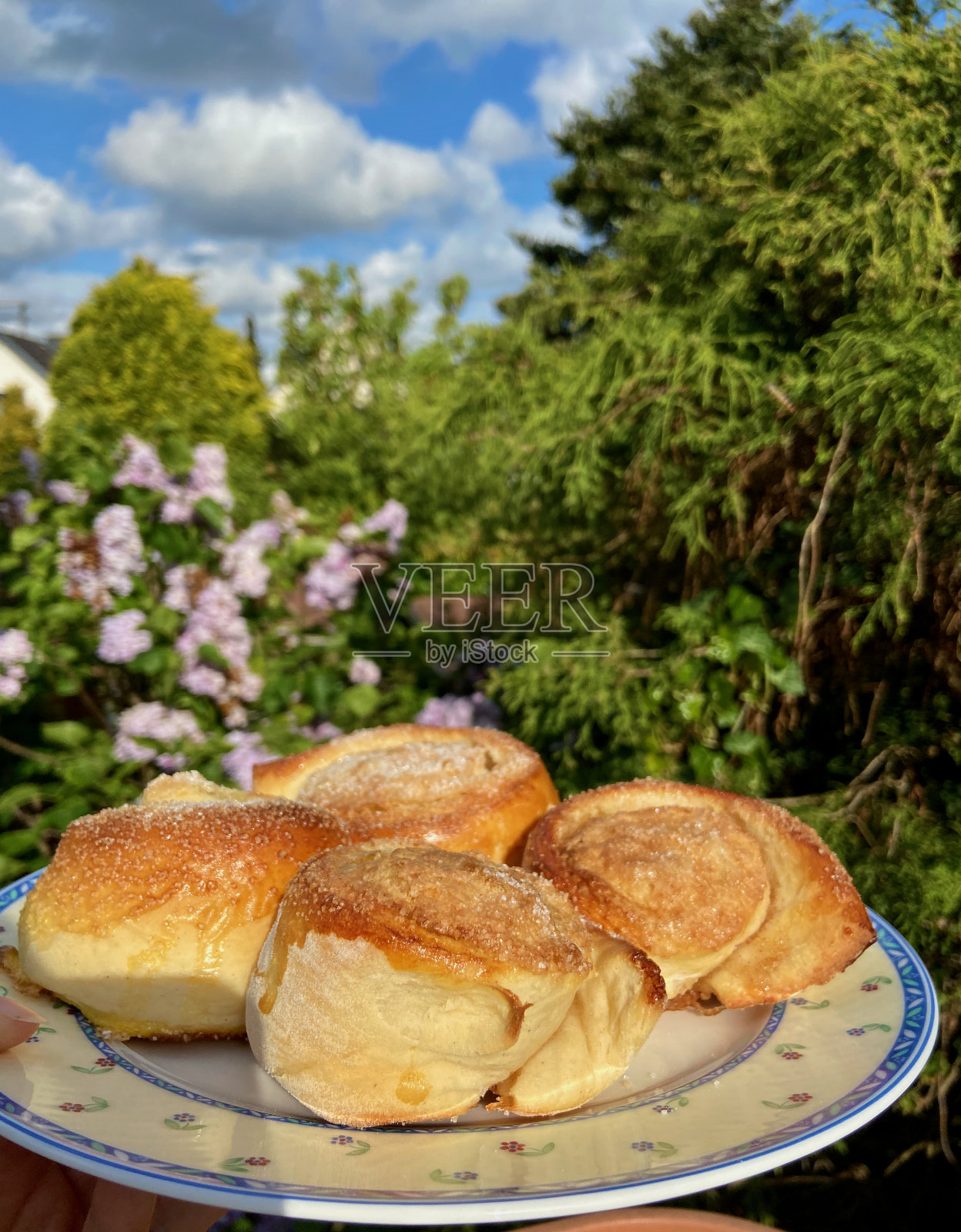 肉桂面包和美丽的自然照片摄影图片