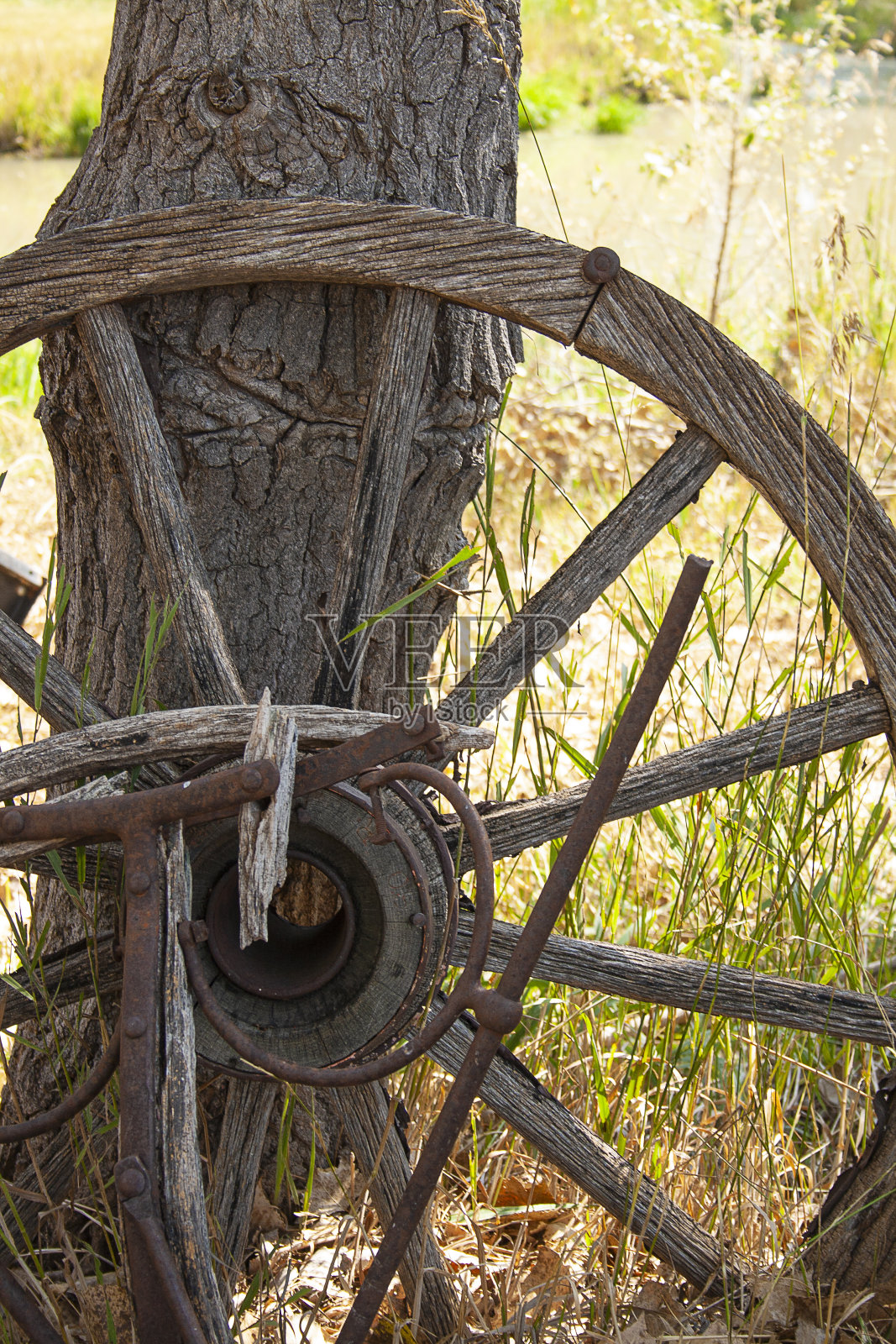 马车轮照片摄影图片