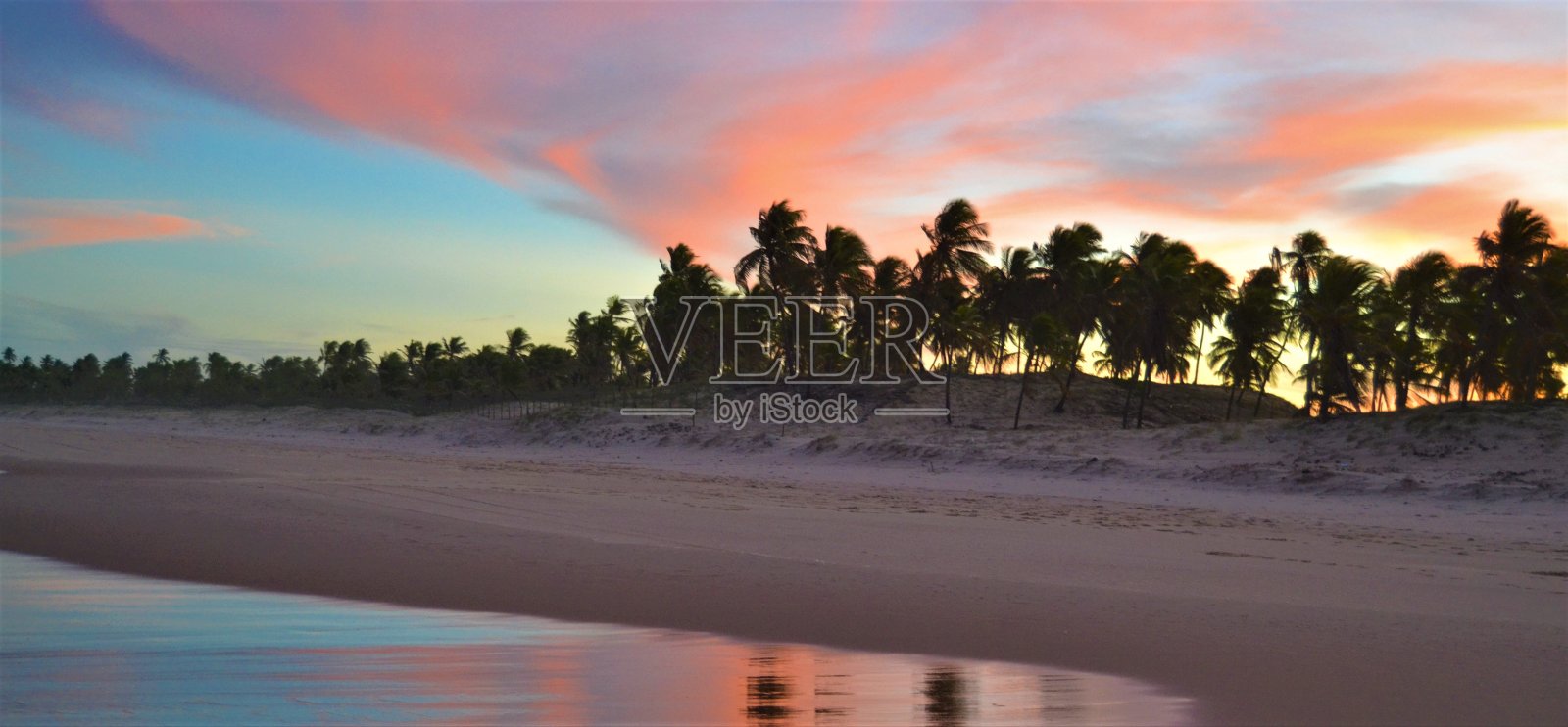 日落在巴西巴伊亚的海滩上照片摄影图片