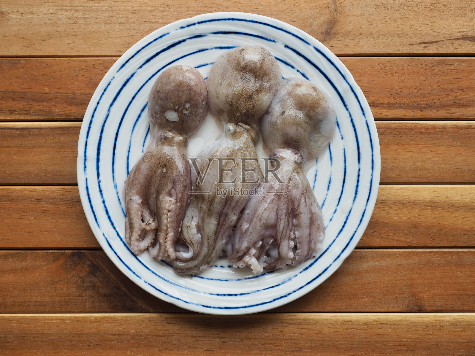 新鲜天然海鲜章鱼,食材照片摄影图片