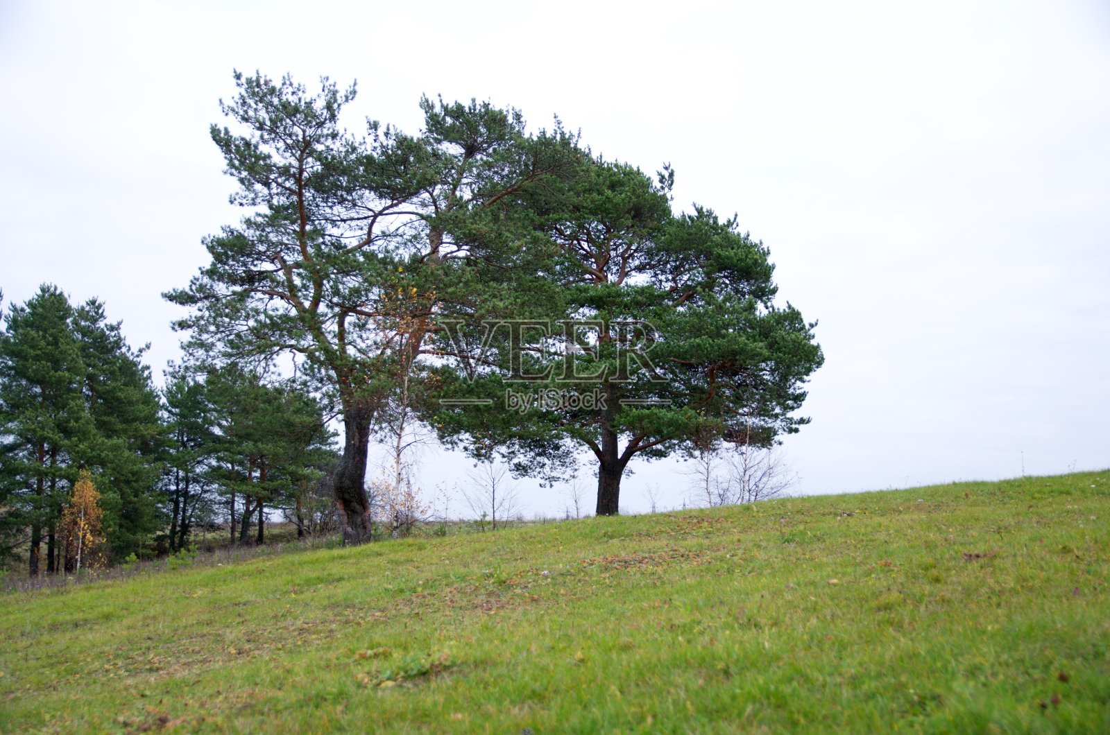 大自然在秋天的季节照片摄影图片