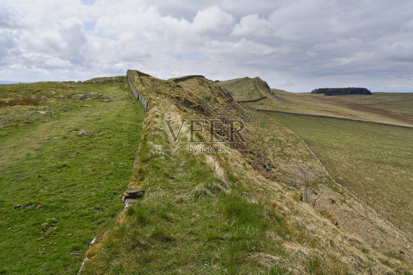 哈德良长城蜿蜒穿过诺森比亚的群山照片摄影图片