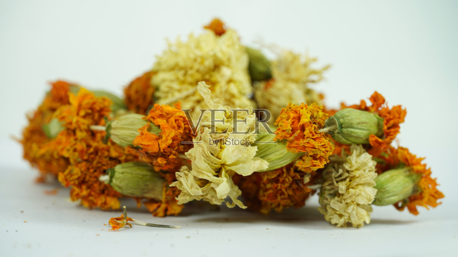 干花图像在白色的背景照片摄影图片