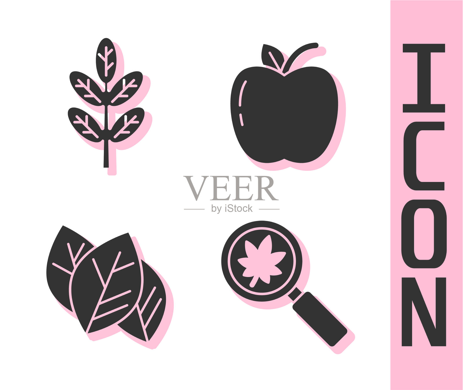 在放大镜上放上一片或几片叶子图标素材