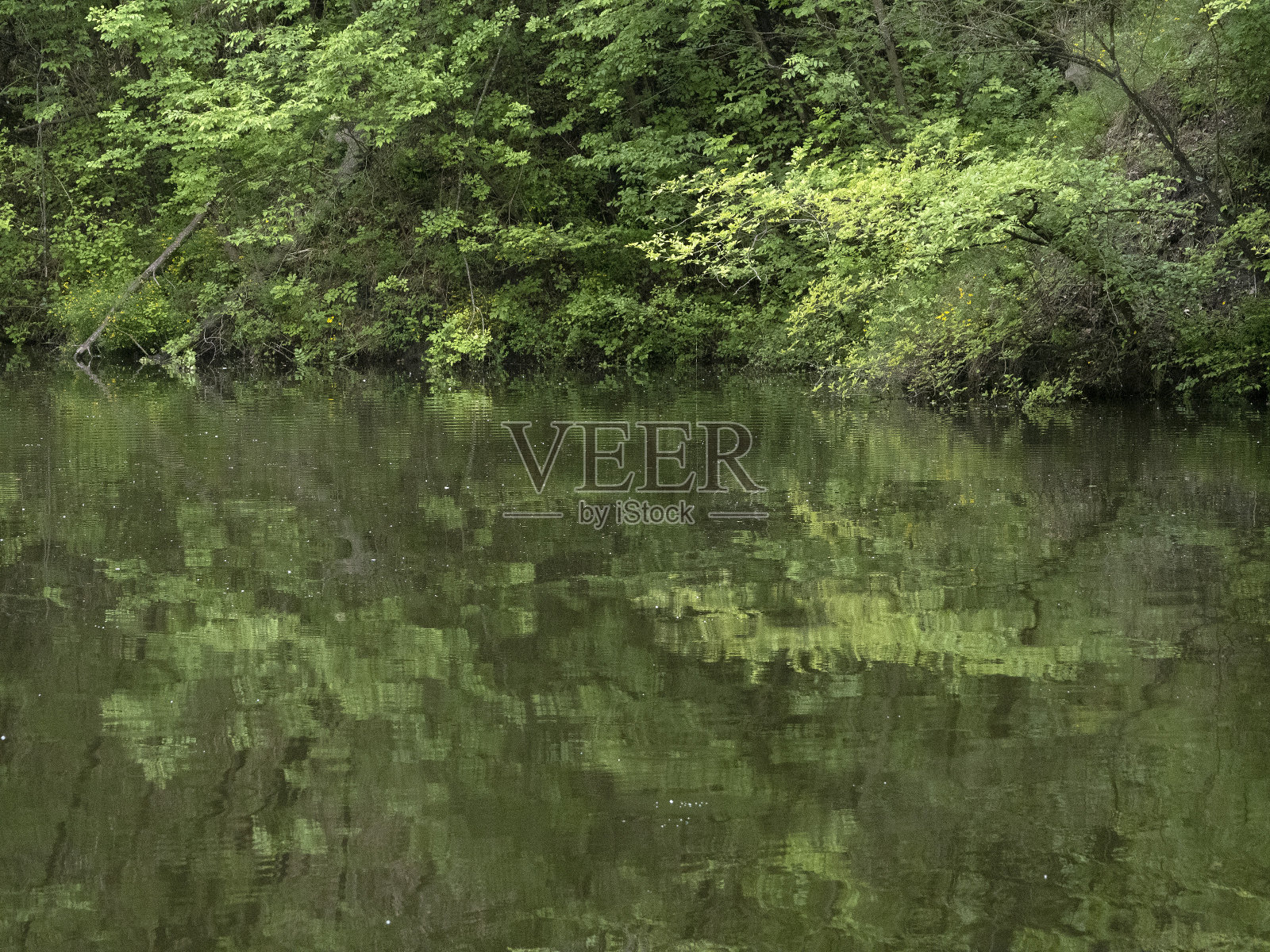 利夫托湖皮埃蒙特意大利水倒影照片摄影图片