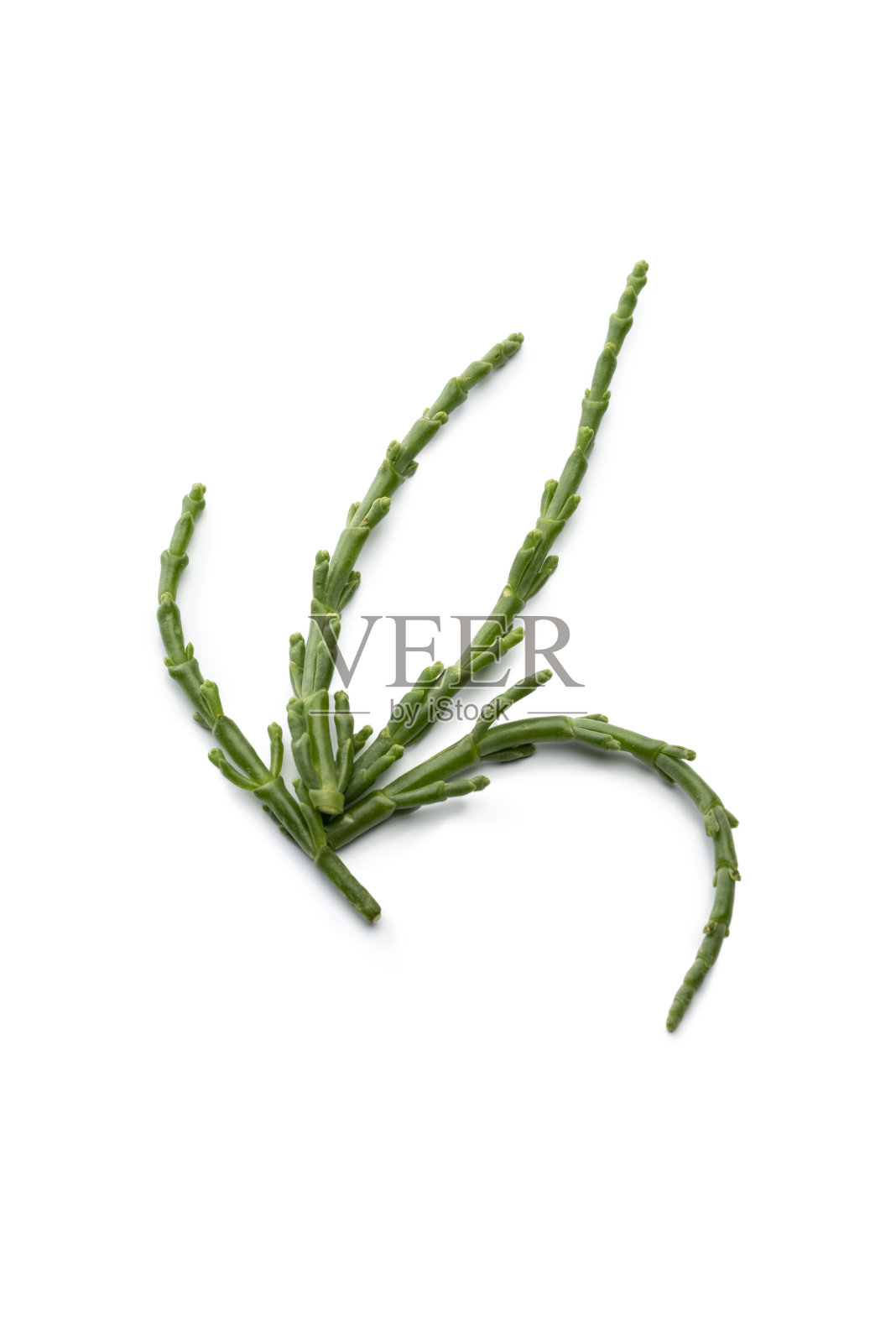 蔬菜:玻璃草孤立在白色背景照片摄影图片