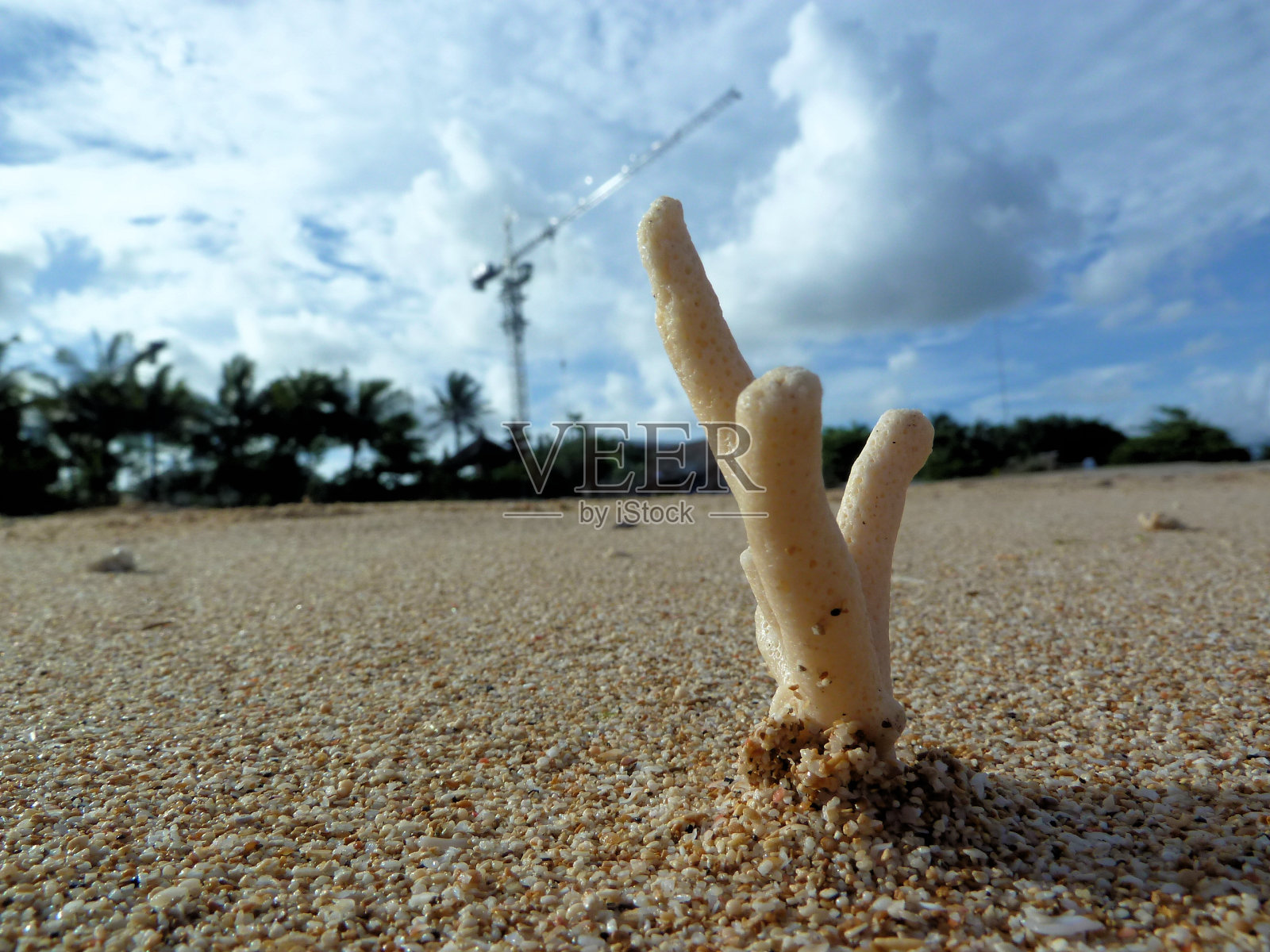 海滩上的珊瑚礁和塔吊作为背景照片摄影图片