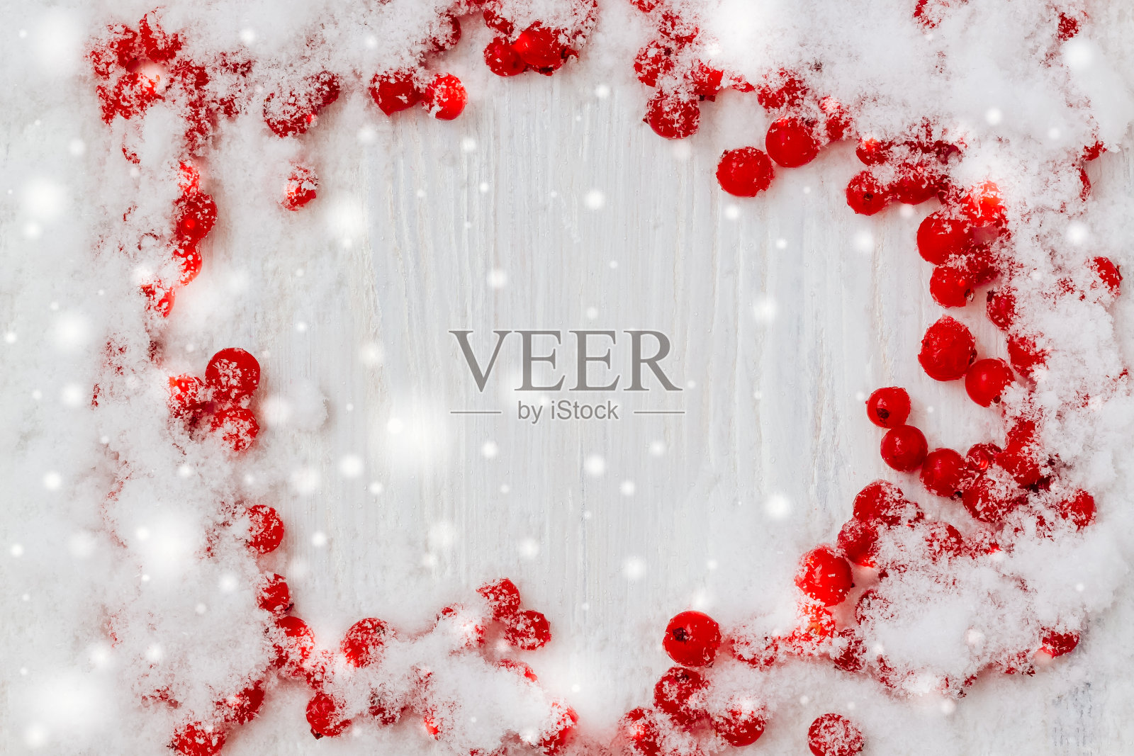 圣诞背景与冰冻红醋栗浆果在雪和白板照片摄影图片