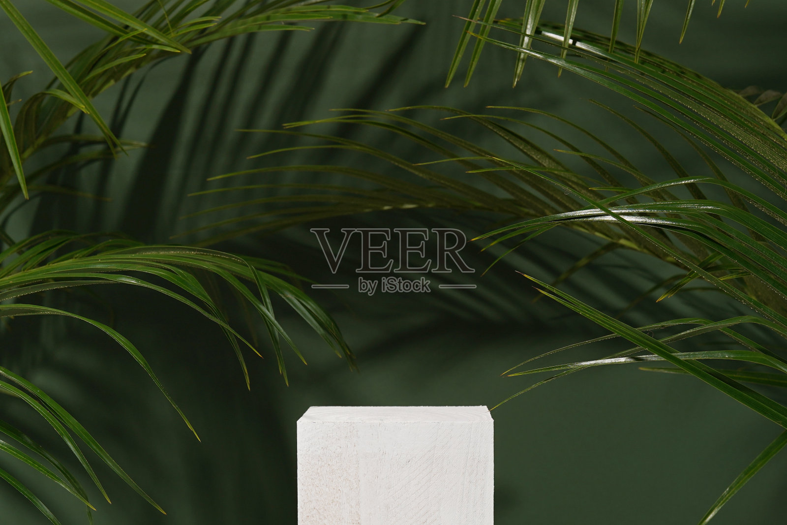 化妆品广告摊位。木制的白色讲台在绿色的背景与棕榈叶和阴影。展示产品包装的空基座。模型照片摄影图片